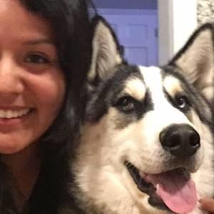 Meet your Posher, Paloma